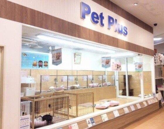 ペットプラス【2026年5月6日閉店】