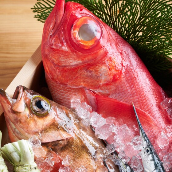 日本鮮魚